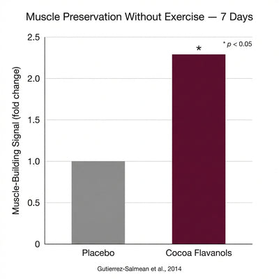 Cocoa Flavanols Raw Extract