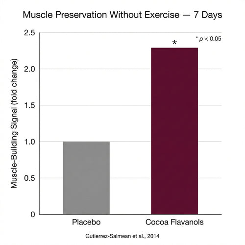 Cocoa Flavanols Raw Extract
